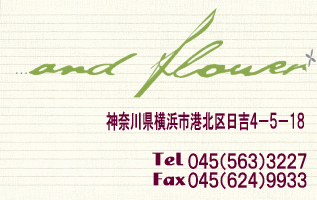 ̉ԉEEEand flower
